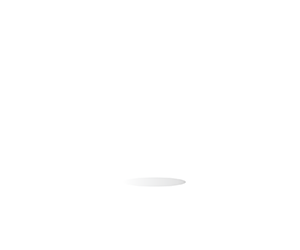 Squadra Brasil